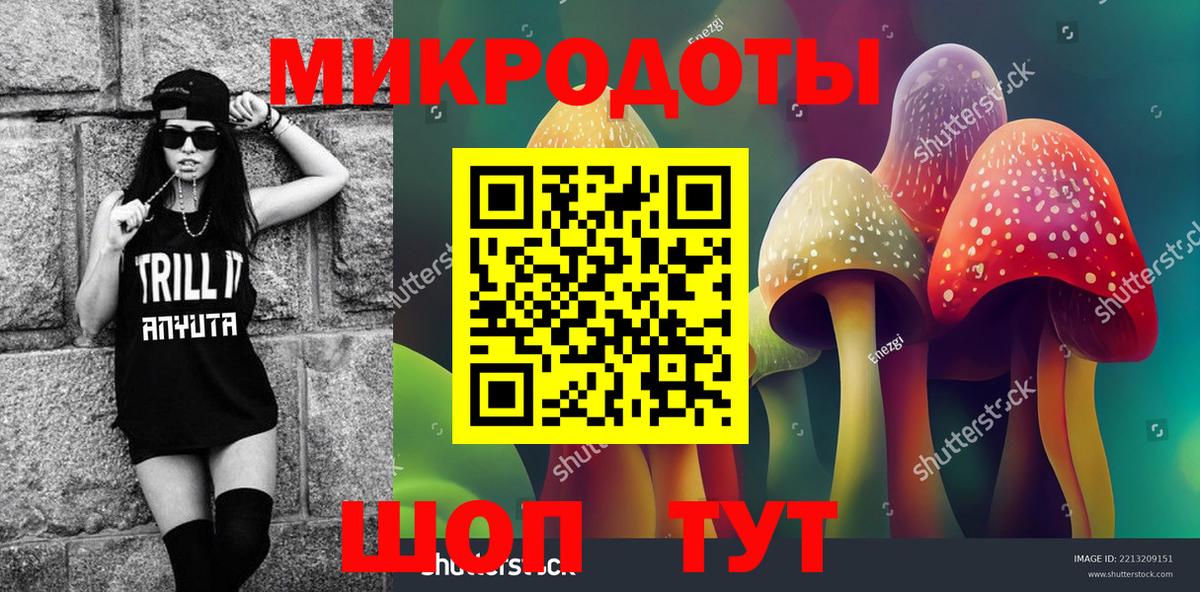 Тихвин  Галлюциногенные грибы прущие грибы  Галлюциногенные грибы Psilocybe  Вход с VPN 