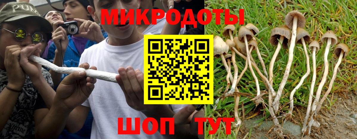 Псилоцибиновые грибы Magic Shrooms Тихвин